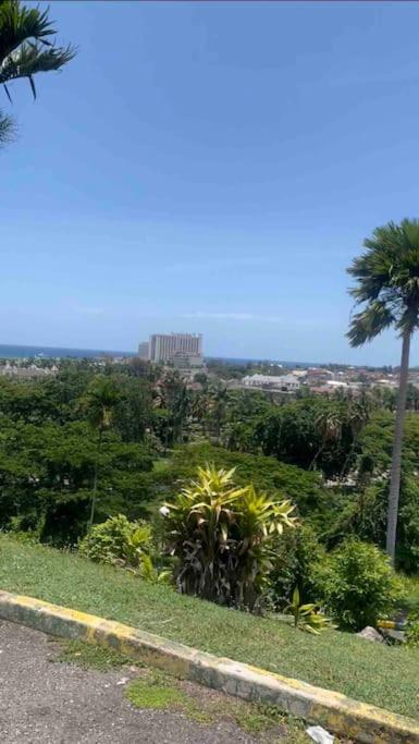 Lulu Bell Mystic Ridge @73 Apartment. Ocho Rios Exteriér fotografie